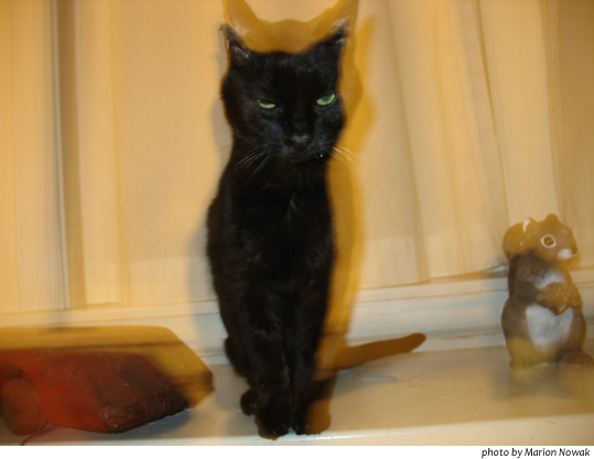 PanicButton9591coffeejitters