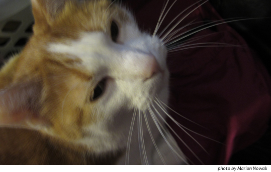 BlurryJarns9591InternetPower