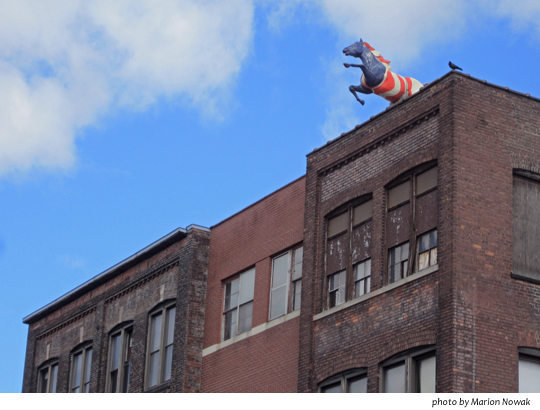 HorseOnRoofWithCrow_9591