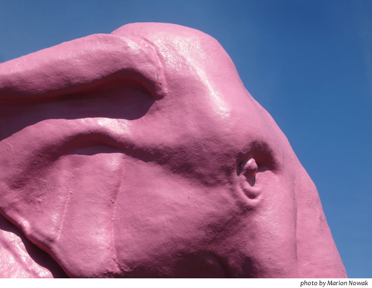 PinkElephant9591A