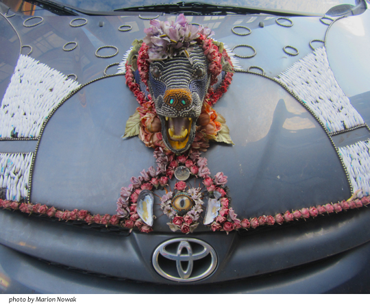 PanicButtonOwnsRoad9591