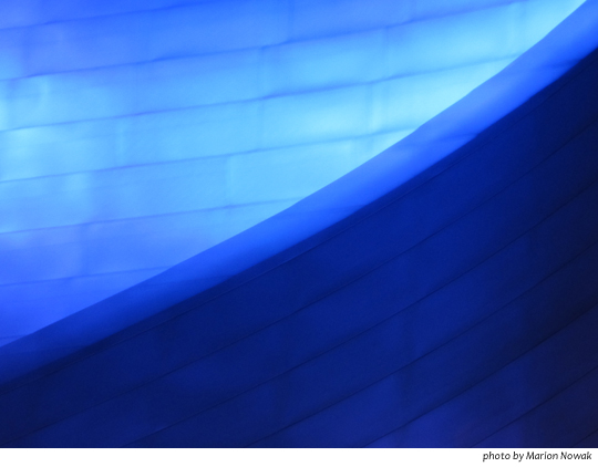 WordlessWednesdayBlueBandshell