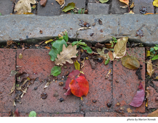 ColumbusPaverOctober