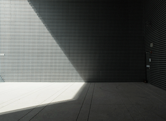 WordlessWednesdayTampaMuseumB