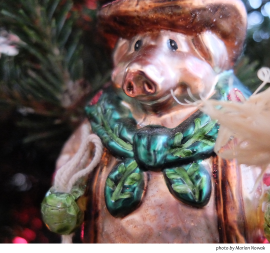 WordlessWednesdayFarmerPig