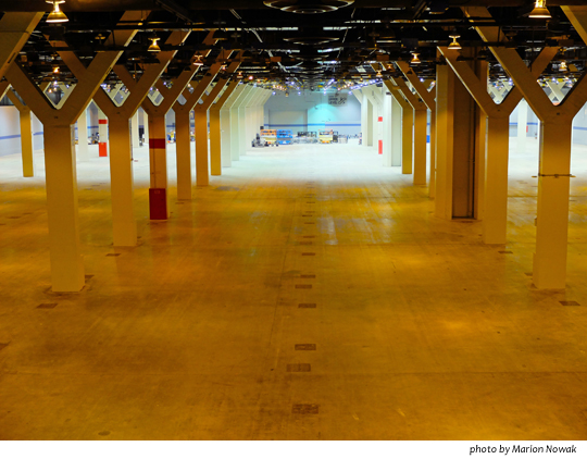 WW_PostIndustrialForestMcCormick