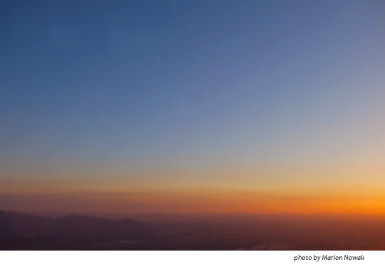 PhoenixSkylineWIndow