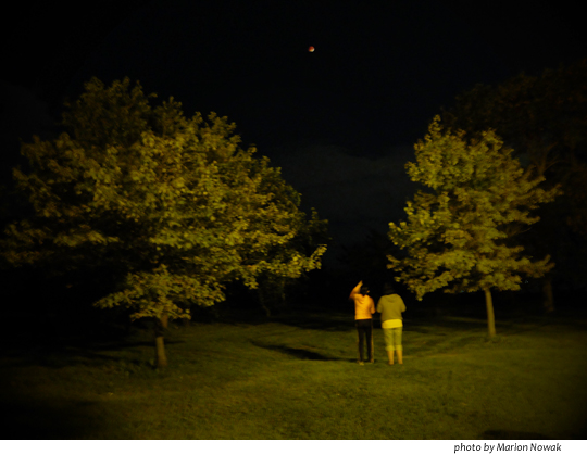 montroseharbornightmoon